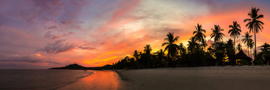 Life in Sayulita, Mexico