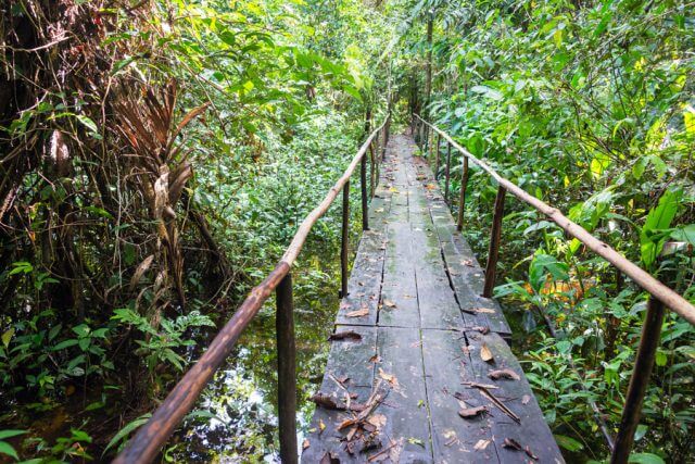 Massage School Abroad - Los Organos, Peru Rain Forest